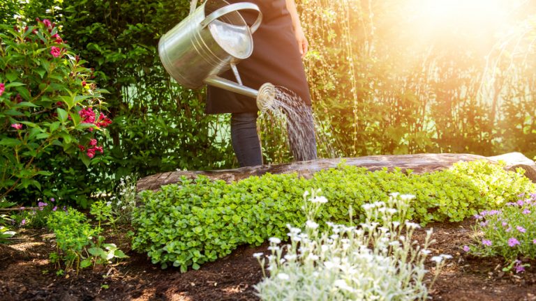 Die besten Garten- und Landschaftsbauer - Rosenheim
